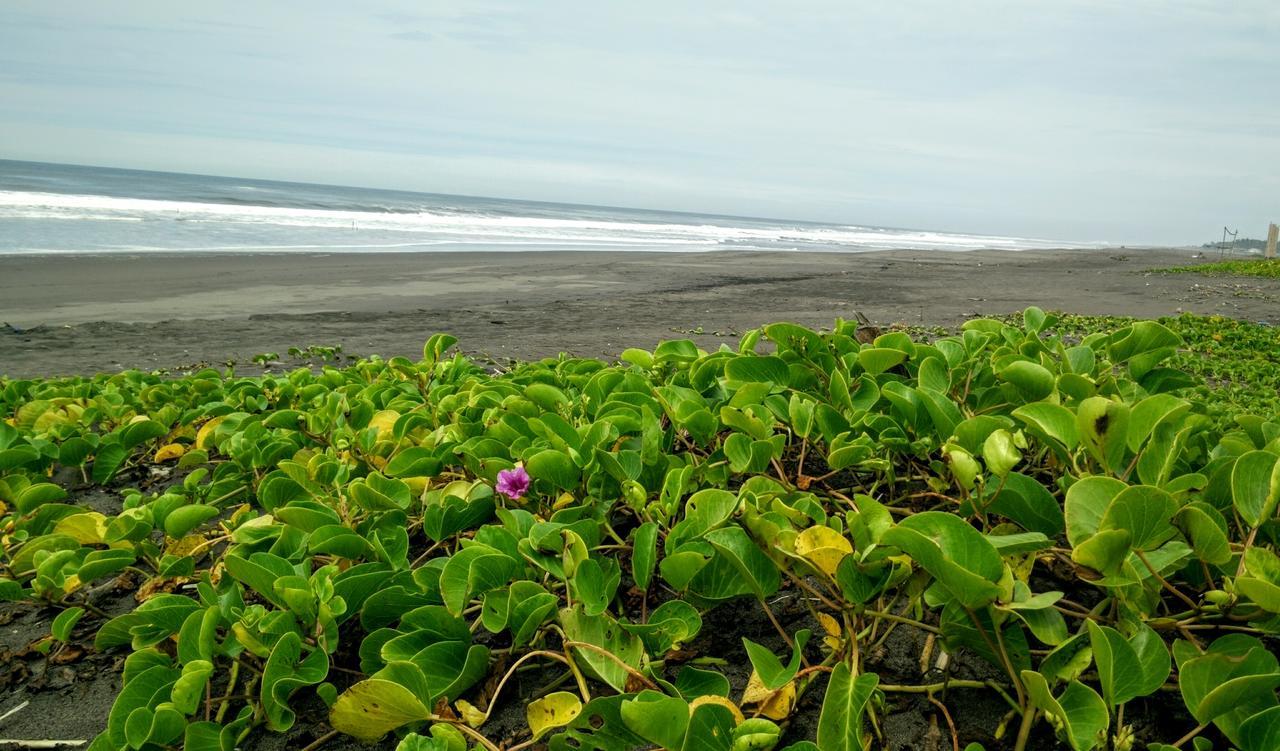 Eco-Hotel Playa Quilombo Las Lisas Екстер'єр фото