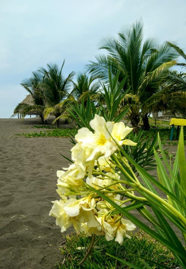Eco-Hotel Playa Quilombo Las Lisas Екстер'єр фото